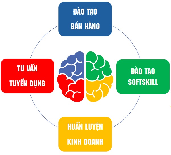 IV. 04 lĩnh vực hoạt động